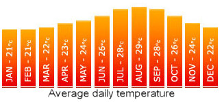 Temperature Chart